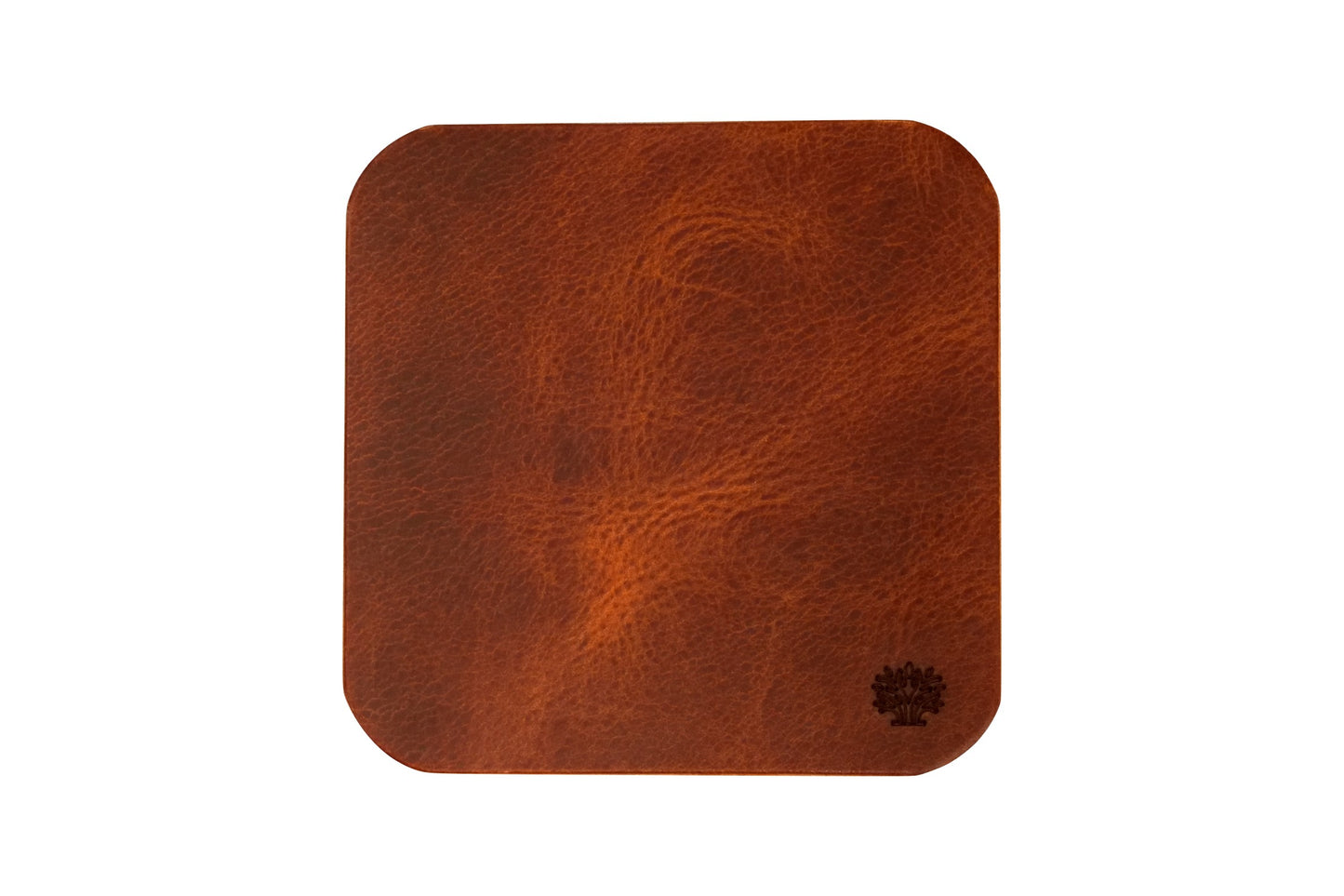 Leather Coaster Set of 4